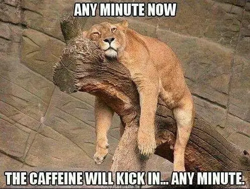 caffeine meme