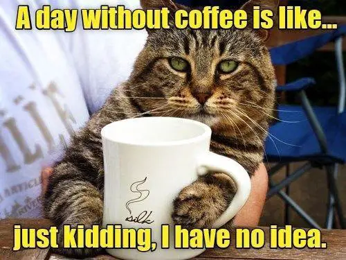 funny coffee memes