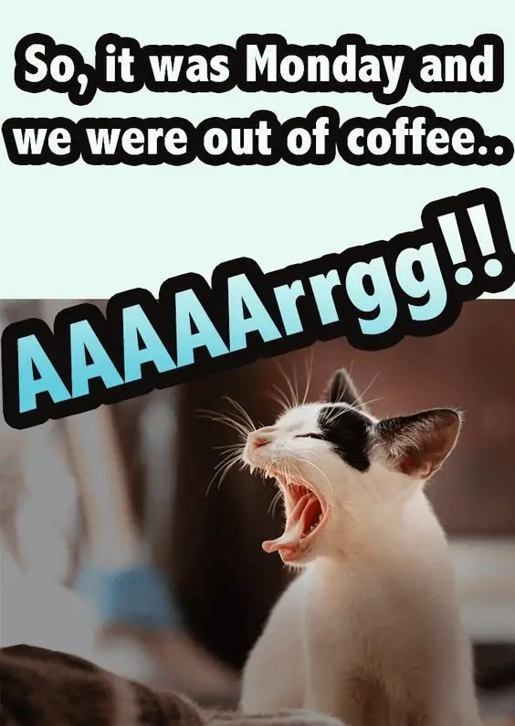 monday coffee meme