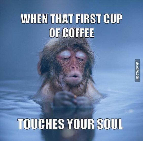 when you drink coffee meme
