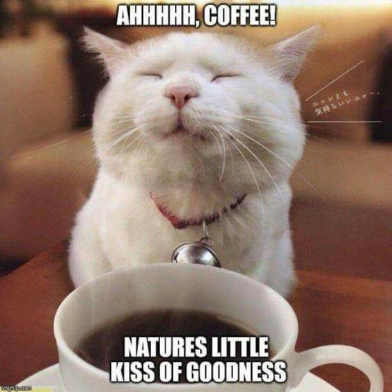 funny coffee memes