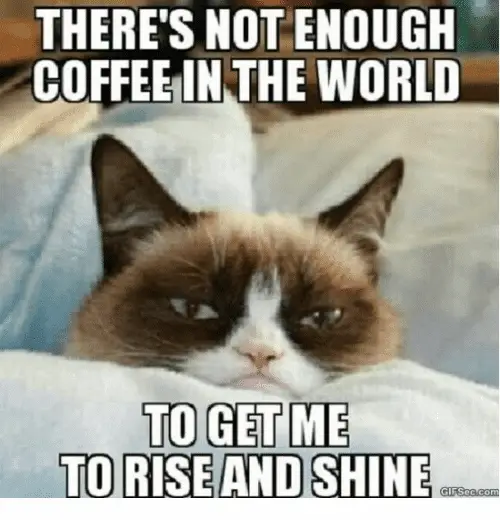 not enough coffee meme