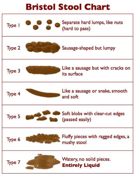 coffee ground poop pictures chart