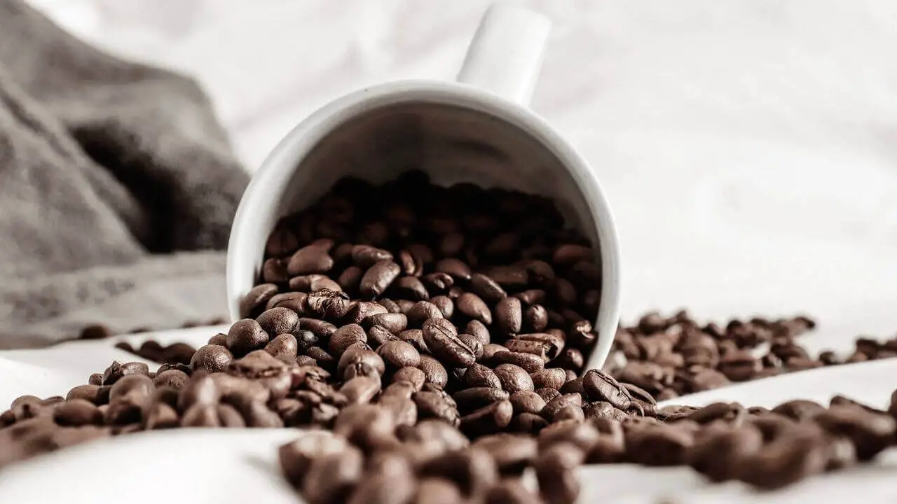 How Many Coffee Beans Per Cup? Golden Ratio Explained.