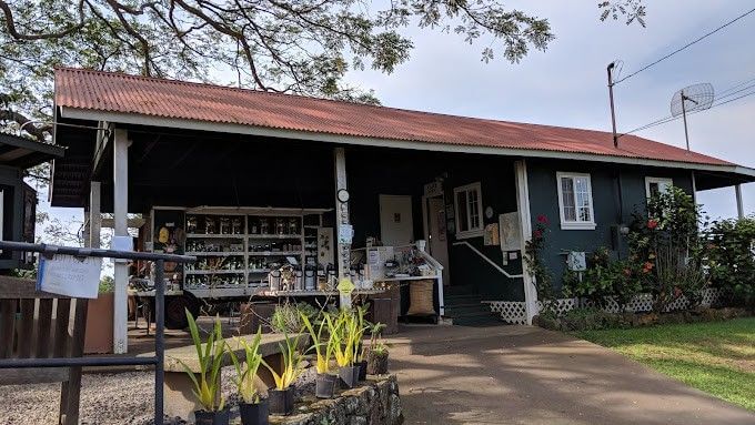 Greenwell-Coffee-Farm-Kealakekua-Bay-Tour