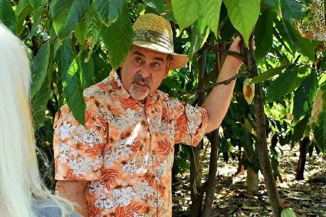 Kona Coffee & Chocolate Plantation Tour