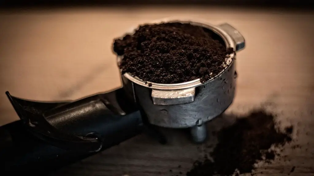 Will coffee grounds get rid of ants