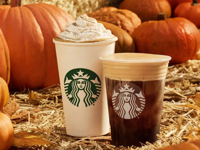 Starbucks Iced Pumpkin Cream Chai Tea Latte recipe