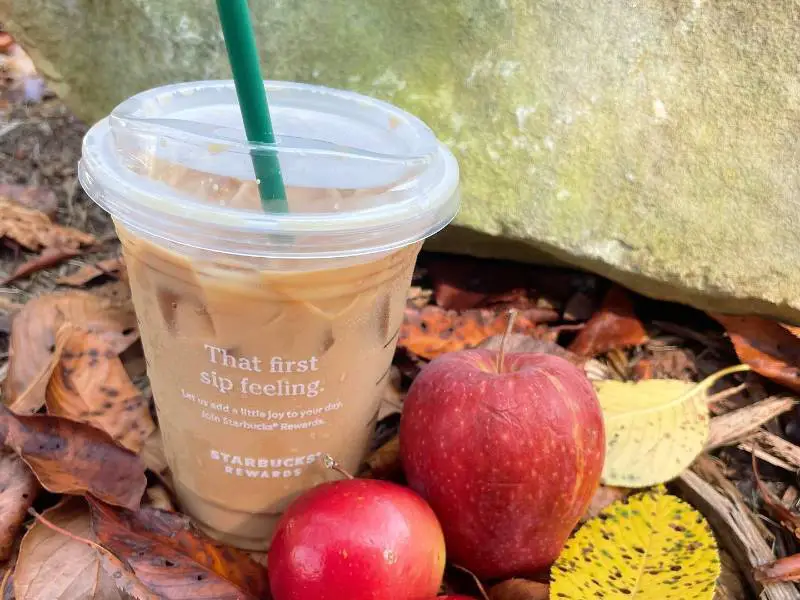 Starbucks Apple Crisp Oatmilk Shaken Espresso recipe copycat