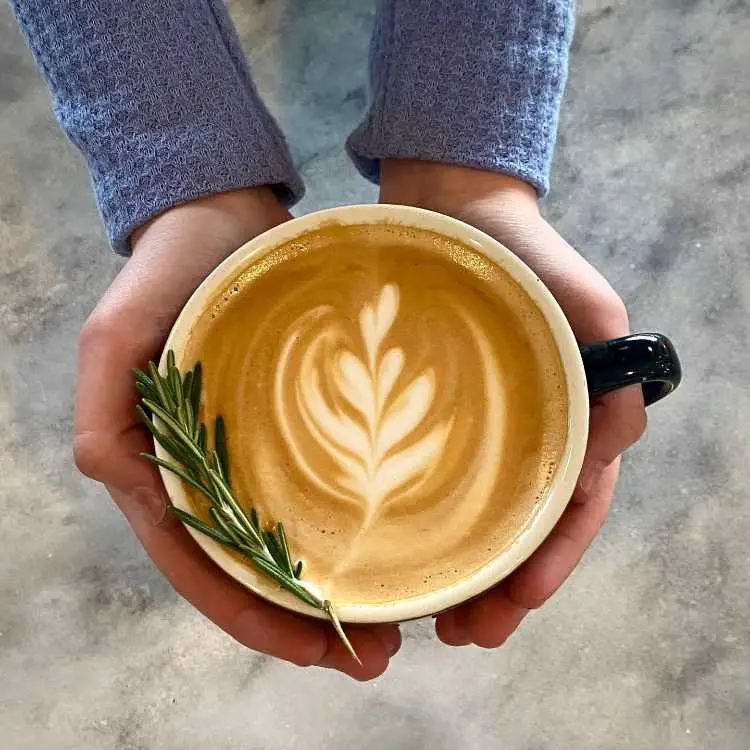 Is French Vanilla Coffee? Unraveling the Flavorful Mystery 3 french vanilla latte